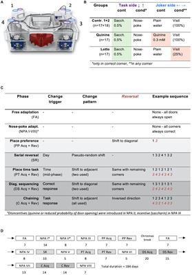 Refinement of IntelliCage protocols for complex cognitive tasks through replacement of drinking restrictions by incentive-disincentive paradigms
